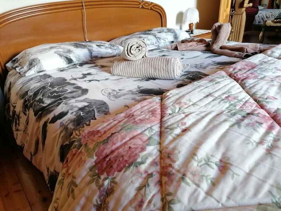 Chalet Del Paese Incantato 蒙切尼肖 外观 照片