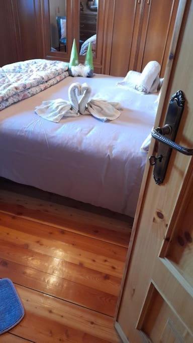 Chalet Del Paese Incantato 蒙切尼肖 外观 照片